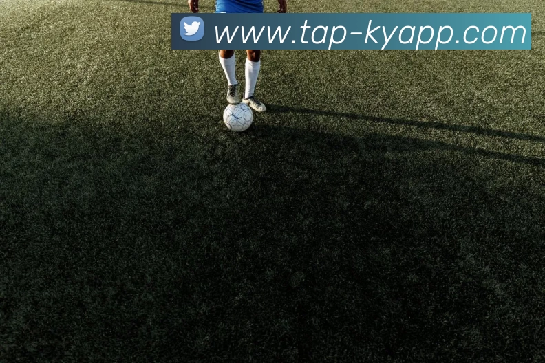 开云体育平台生态图