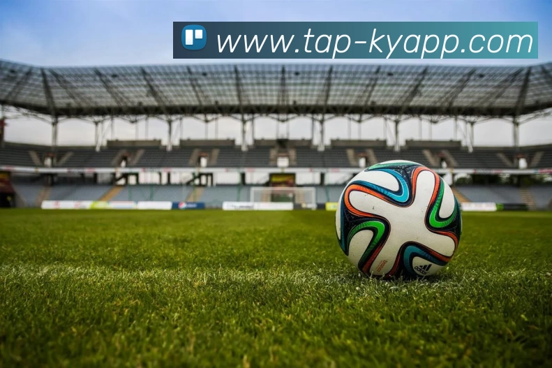 开云体育APP 封面图